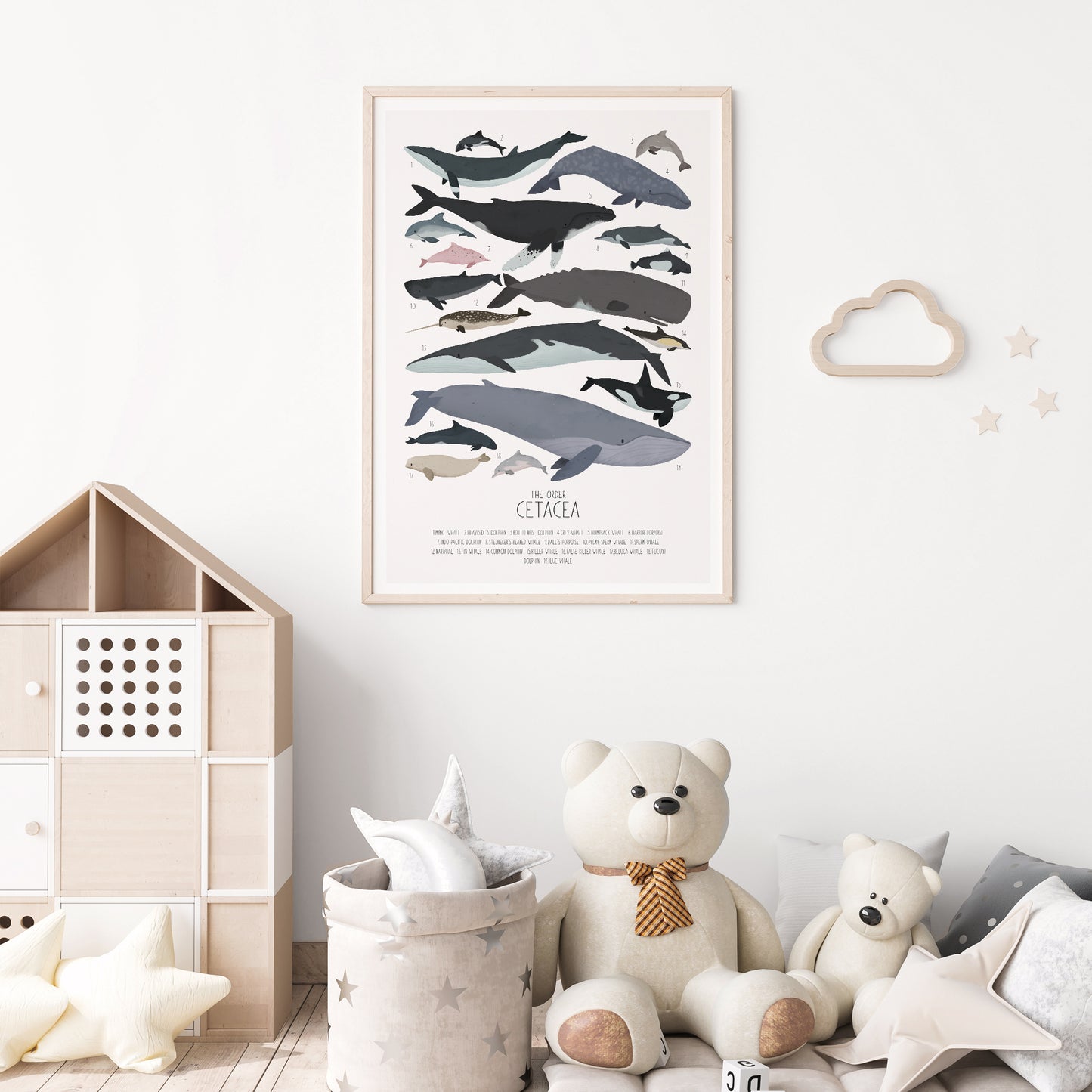 Order Cetacea - Nursery print